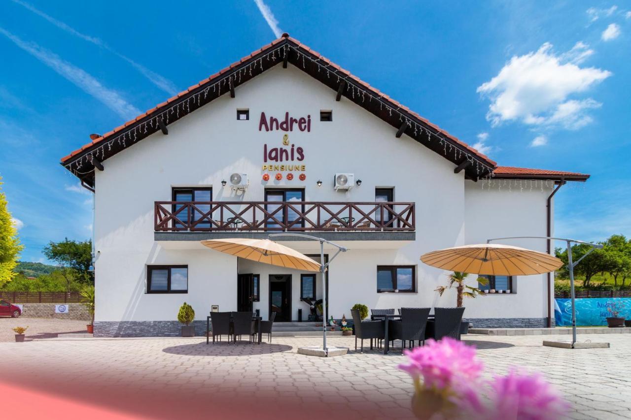 Agropensiunea Andrei & Ianis Daesti Exterior foto