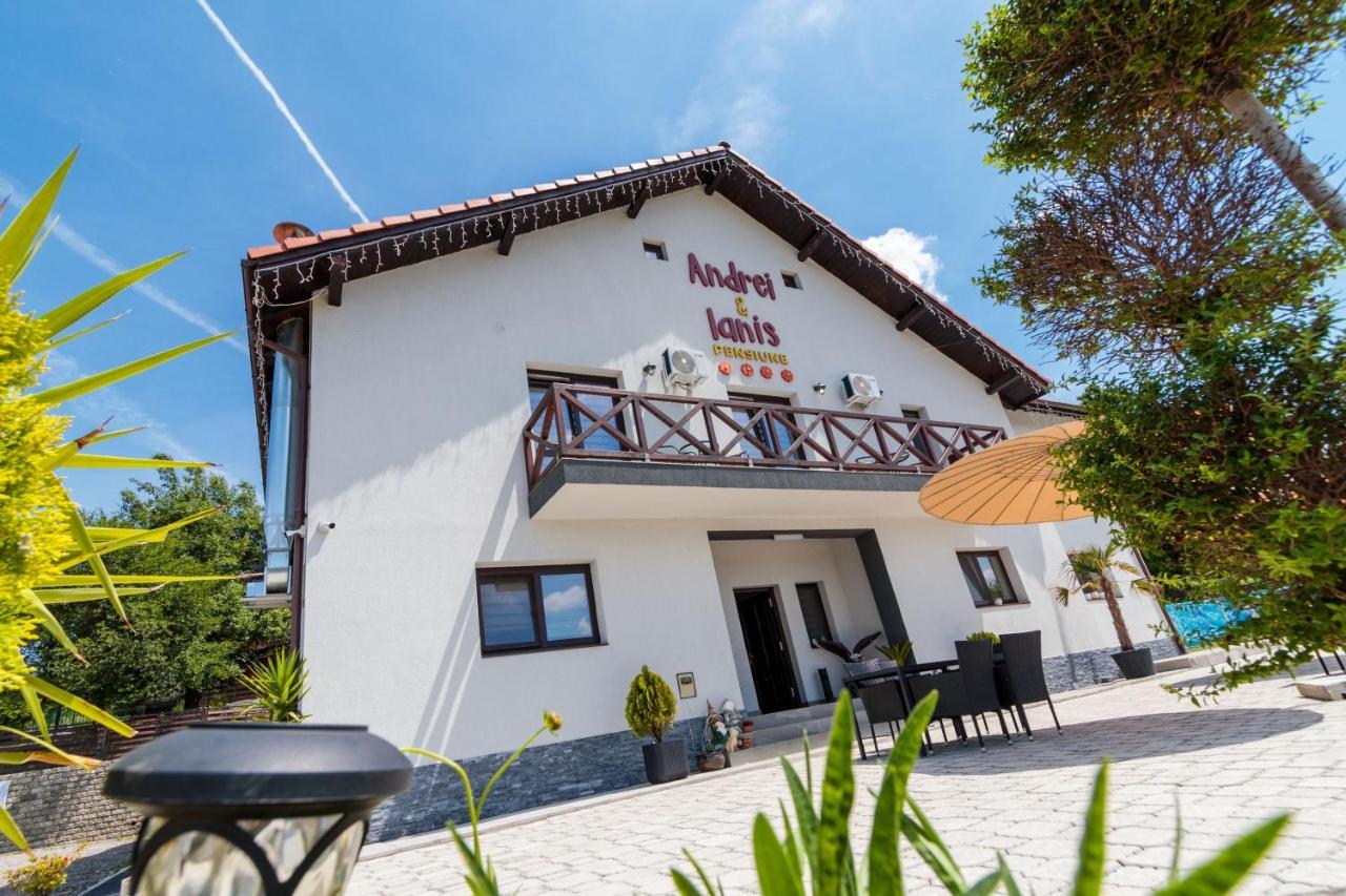 Agropensiunea Andrei & Ianis Daesti Exterior foto